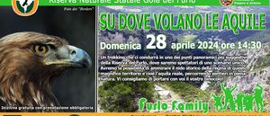 2024 04 28 DOVE VOLANO LE AQUILE