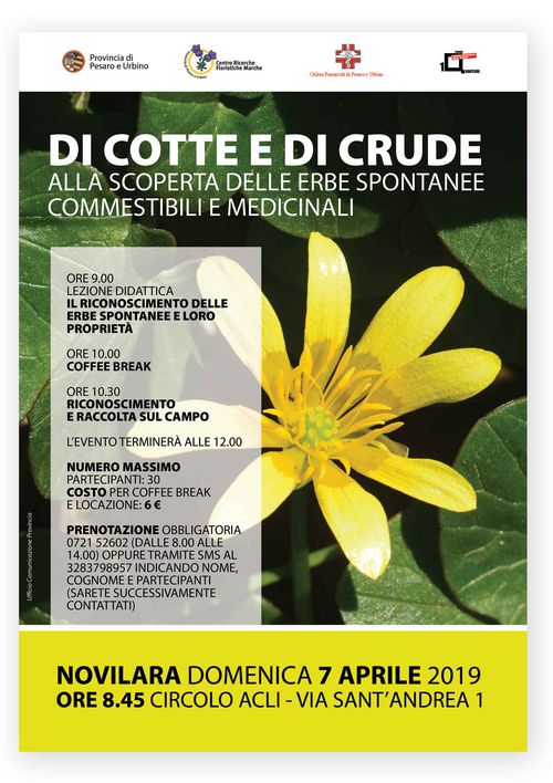 Catalogo andrea pirma 2019 deals