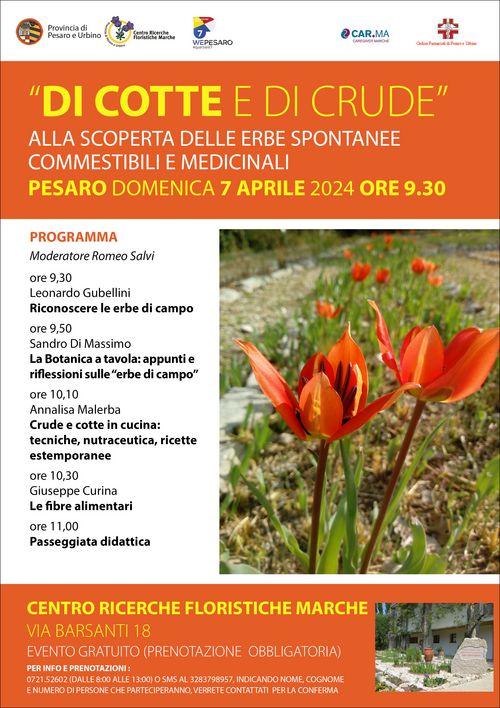 Locandina 7 aprile 2024