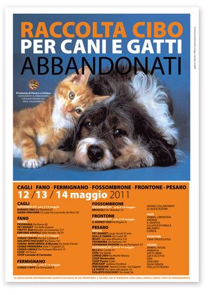 cani gatti Locandina