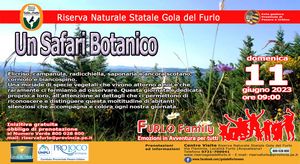 2023 06 11 safari botanico11 6