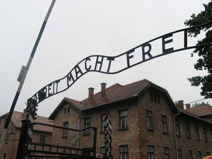 L ingresso di Auschwitz 1 01