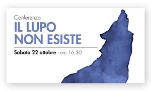 lupo HOME 2