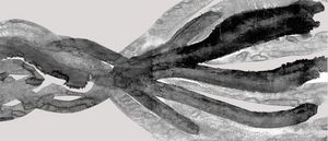 Banner 80esimo UDI Pesaro