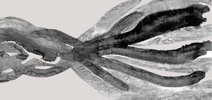 Banner 80esimo UDI Pesaro