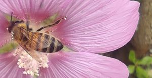 BANNER  29 aprile 2026