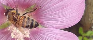 BANNER  29 aprile 2026