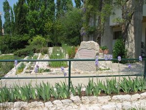 csm Centro ricerche floristiche Marche Brilli Cattarini