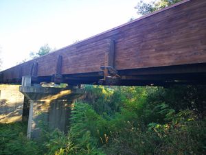 passerella in legno sul fiume Foglia a Vallefoglia