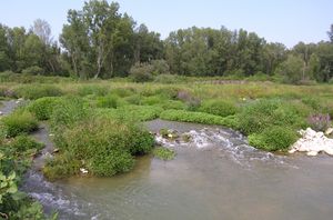 Fiume Metauro a Fossombrone San Martino