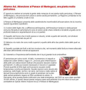 Articolo  ASL sulla pericolosita della Panace di Mantegazzi