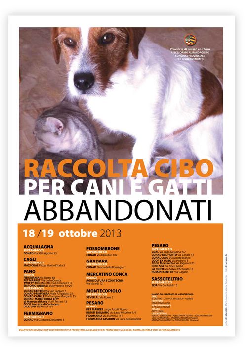 Raccolta cibo animali 2013