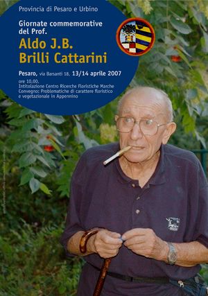 BrilliCattariniManifesto