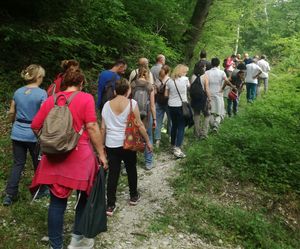 Riconoscimento della flora  un momento del tour didattico