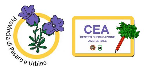 logo CEA   Centro ricerche