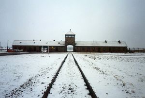 Auschwitz Birkenau viaggio memoria inverno