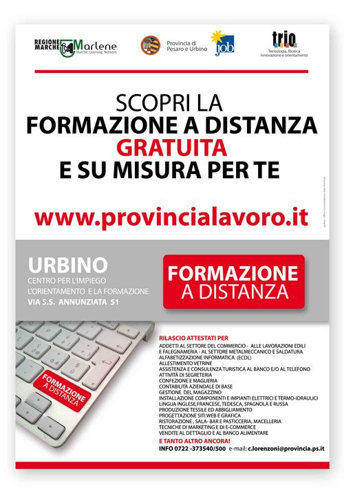 Formazione a distanza x WEB
