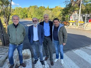 foto ponte alberi