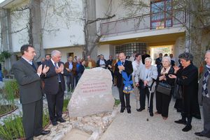 Centro fl. Brilli Cattarini