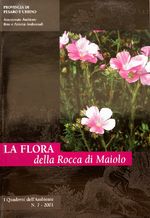 Flora Maiolo .JPG