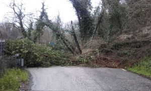 Frane e caduta alberi sulle strade provinciali