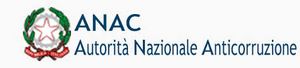 Logo anac