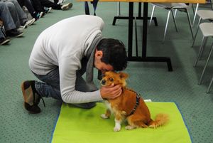 La scuola adotta un canile