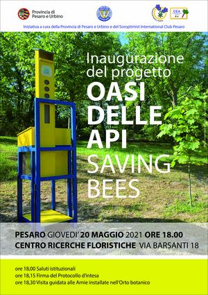 Api 20 maggio