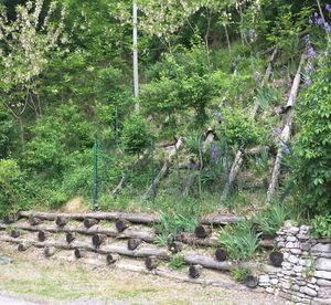 Intervento di ingegneria naturalistica su zona in frana