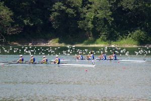 Canottaggio sul lago Mercatale