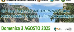 Civetta PROGRAMMA Riserva