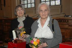 Apifarfalle2008 311