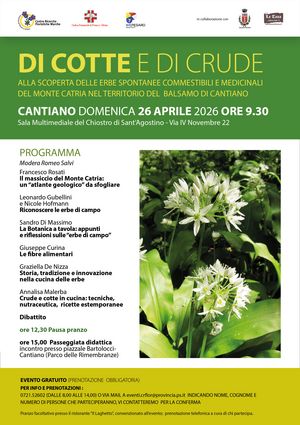 Locandina 26 aprile 2026