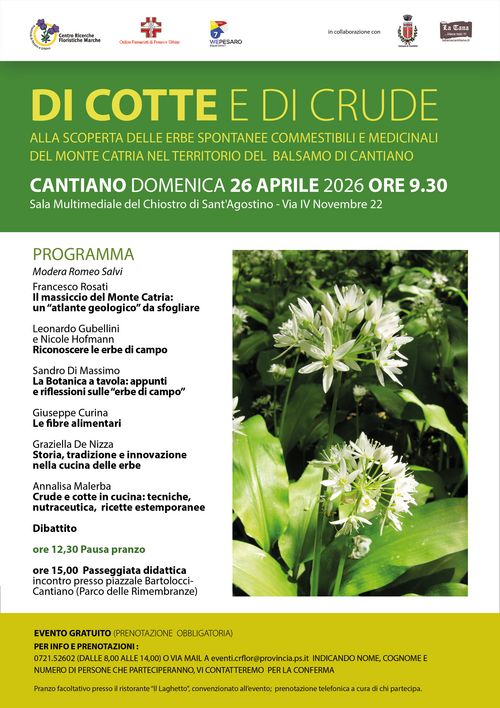 Locandina 26 aprile 2026