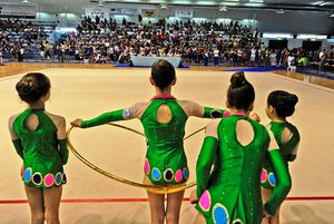 GR 230211 Ginnastica in Festa passata edizione