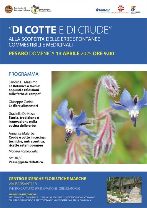 Locandina 13 aprile 2025 Locandina 13 aprile 2025