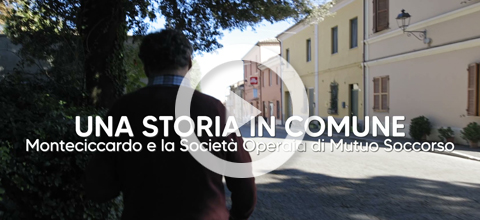 Video 1x1 Video 1x1